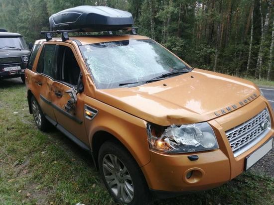 В Клепиковском районе Land Rover насмерть сбил лося