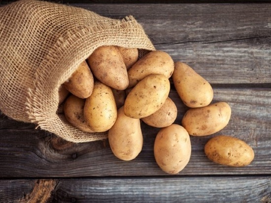 Свердловчане проверили картофель на бурую бактериальную гниль