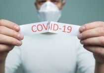 8 сентября: в Германии 13.565 новых случаев заражения Covid-19, 35 умерших за сутки от ковида