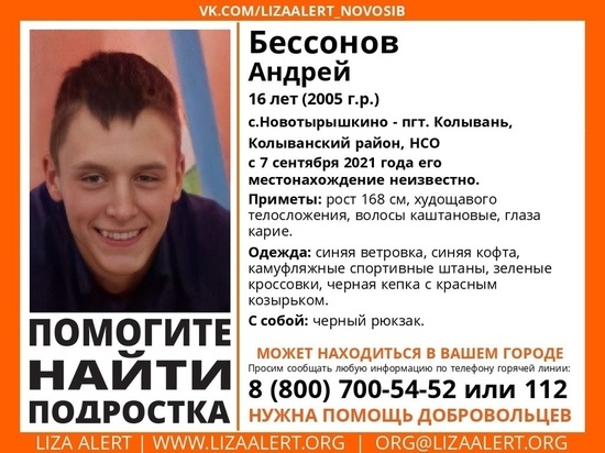 16-летний подросток пропал в Колыванском районе Новосибирска