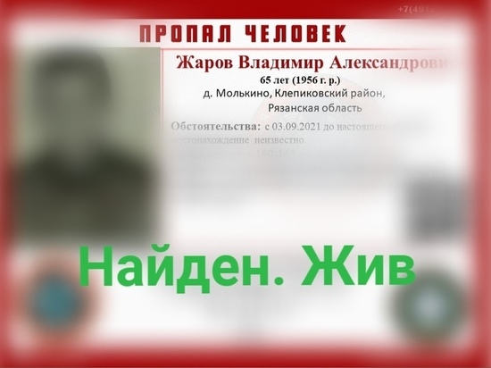 Пропавшего в Клепиковском районе 65-летнего мужчину нашли живым