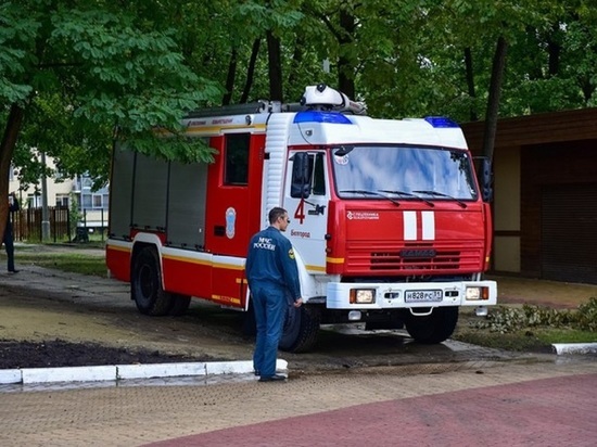 Фестиваль "Белгород в цвету" пройдет под присмотром полицейских, пожарных и спасателей