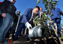 Сегодня, 8 сентября, на кургане Саур-Могила высадили аллею деревьев "Русский лес"