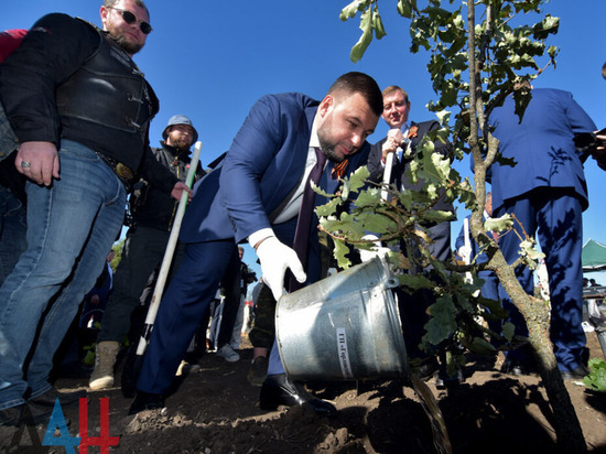 В ДНР высадили аллею деревьев в память о погибших воинах