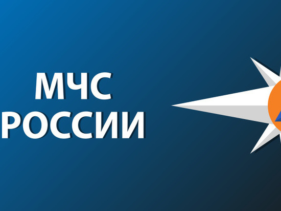 Информация о химическом загрязнении почвы в Псковской области оказалась фейком