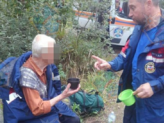  Заблудившегося пенсионера в лесу Ленобласти нашли спустя сутки