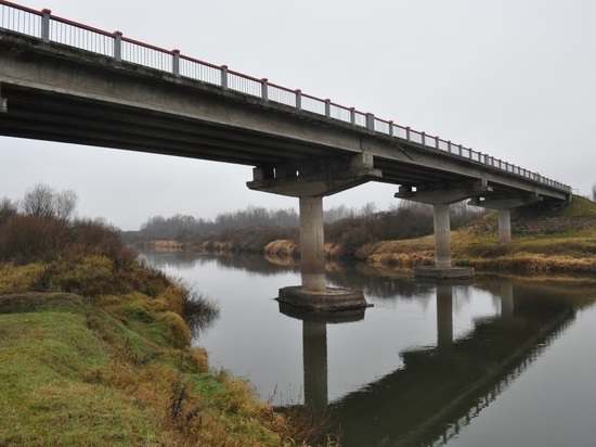 Почти 300 млн рублей потратят на ремонт моста через реку Великую в Пушкиногорском районе