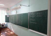 «Это чёртов гений!»: в Омске поспорили об идее сократить программу школ до 9 классов