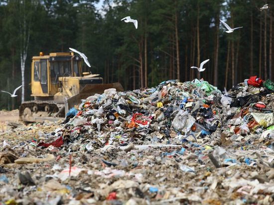 Незаконная свалка во Всеволожском районе нанесла ущерб природе на 141,5 млн рублей