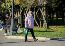 В Сети набирает популярность петиция за продление выплаты 10 тысяч рублей пенсионерам