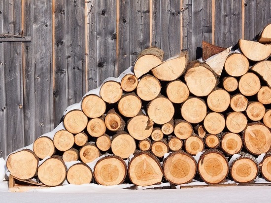 Зима близко: в районе Карелии есть проблемы с поставкой дров