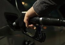 Новосибирскстат подвел недельную статистику по стоимости бензина