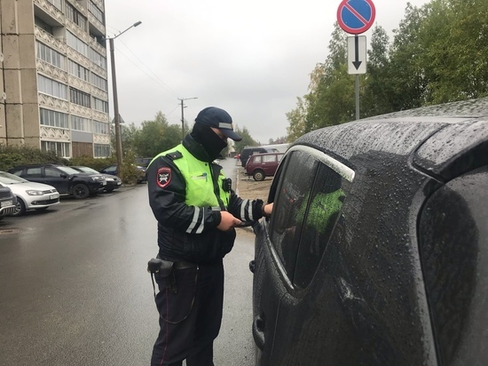  В Карелии автоинспекторы проверили, как водители соблюдают правила перевозки детей