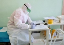 Оперативный штаб по противодействию коронавирусу сообщил о смерти еще 12 зараженных