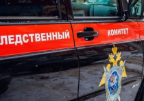 Следственный комитет по Иркутской области объявил в розыск двух местных жителей — родных брата и сестру