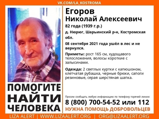 Костромские спасатели ищут в Шарьинском районе 82-летнего грибника