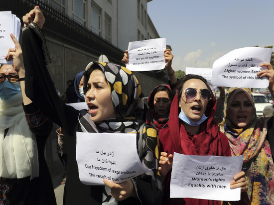 Талибы выпороли освещавших акцию протеста журналистов