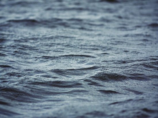 Следком Карелии будет расследовать гибель троих мужчин в Ладожском озере