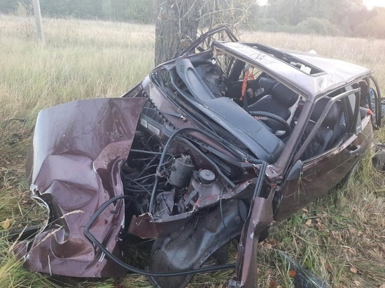 В Шиловском районе ВАЗ врезался в дерево, пострадал 40-летний пассажир