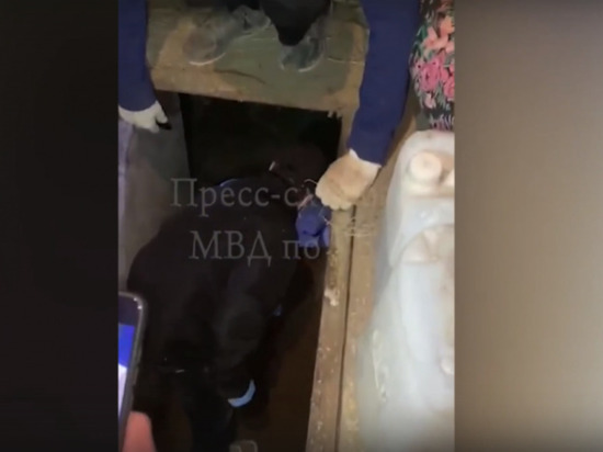 Житель Башкирии зарубил топором знакомую и закопал труп в гараже
