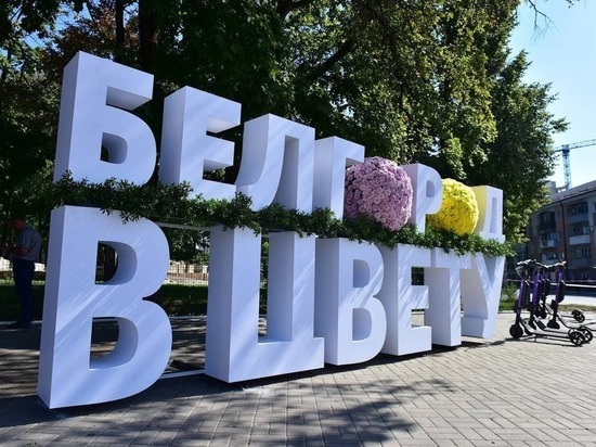 «Белгород в цвету»: как прошел первый день фестиваля