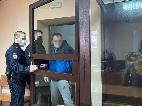 Трое жителей Тверской области и их друг, расправившиеся с лосихой, пойдут под суд