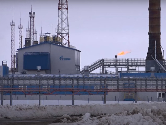 Немецкий политолог назвал дату запуска «Северного потока-2»