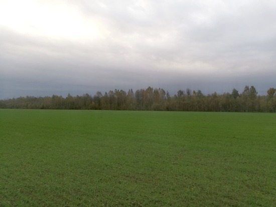 Какой погоды ждать в Смоленской области в субботу