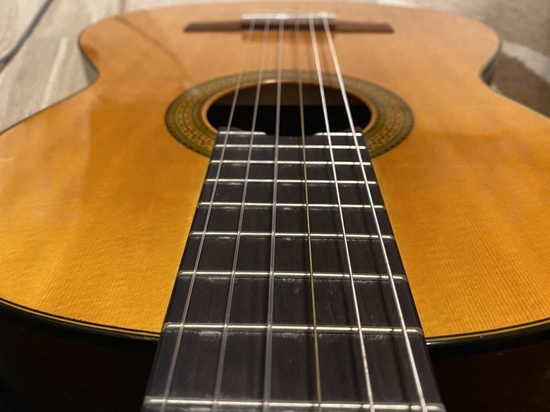 Производителей музыкальных инструментов освободят от налога на имущество в Тульской области