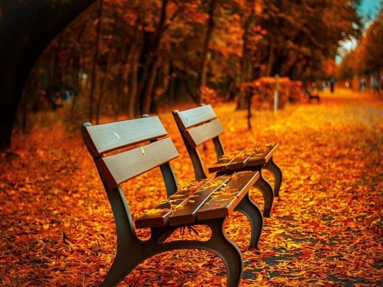 Осенний Ветер Фото