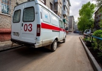ГУ МЧС по Новосибирской области сообщило о первой в этом сезоне смерти после укущи клеща, который оказался переносчиком клещевого энцефалита