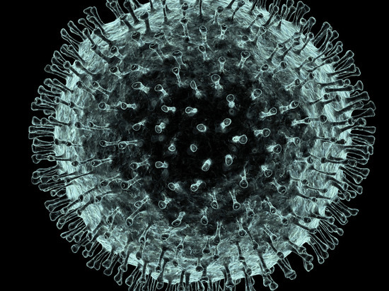 Больные коронавирусом в стационарах Колымы в большинстве не привиты