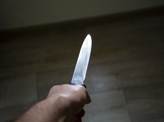 Рецидивист с ножом в Омске напал на студентку ради грабежа