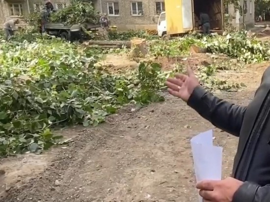 Более 30 деревьев спилят под парковку по улице Красной Звезды в Чите