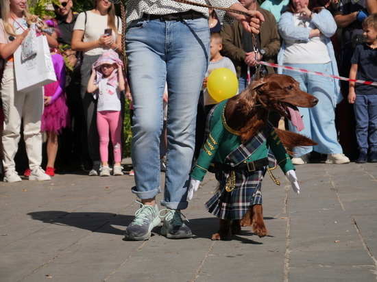 В центре Луганска прошло собачье дефиле
