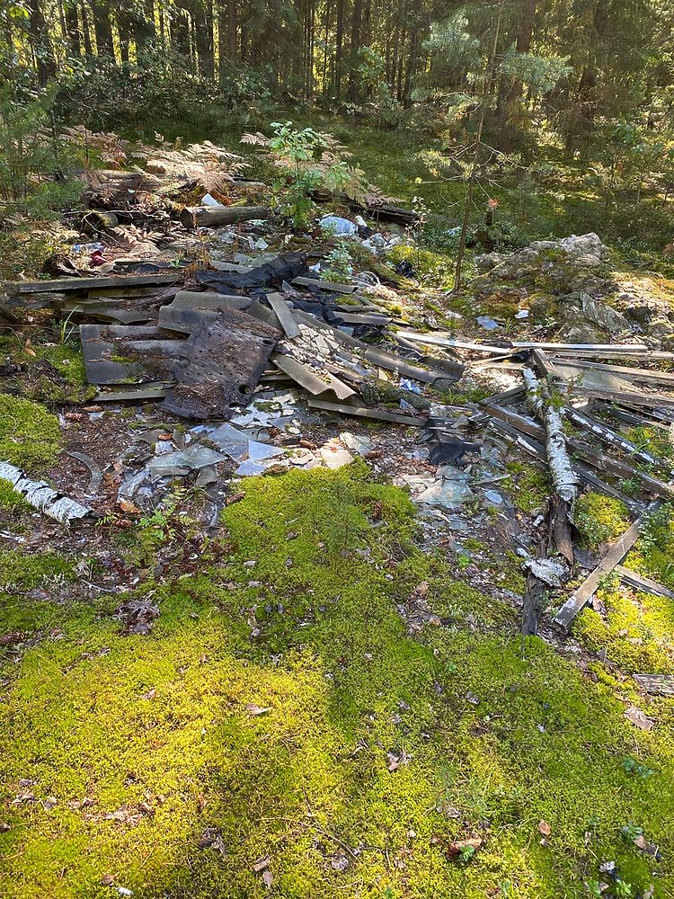 В Клепиковском районе Рязанской области в лесу обнаружили свалку