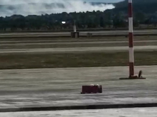 Пожар возник рядом с летным полем аэропорта «Кольцово»