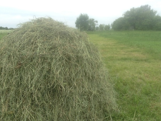 На 228 единиц обновили парк спецтехники аграрии в Смоленской области