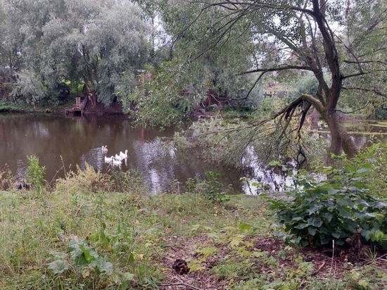 В Новгороде приступят к облагораживанию парка «Архиерейская мыза»