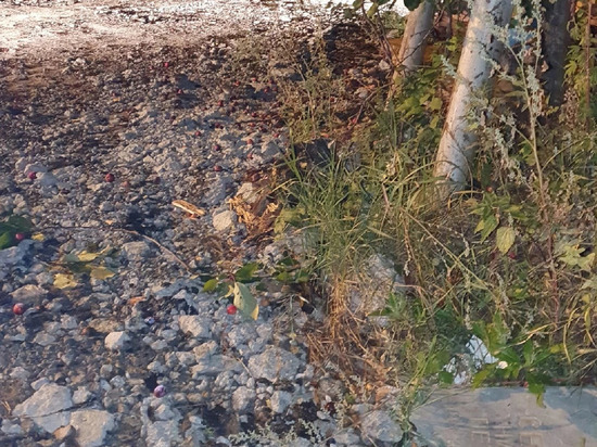 Обломок памятника  нашли жители Березовского на отсыпанной гравием дороге