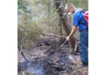 На предупреждение лесных пожаров в Марий Эл выделено 11,5 млн. рублей