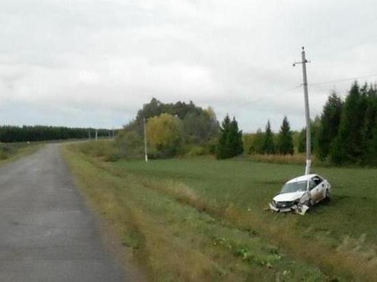 Пьяный водитель в Удмуртии врезался в ЛЭП