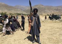 Талиб без жилетки - не талиб, это можно понять по любому фото с членами  «Талибана» (признан террористическим и запрещен в РФ) из Афганистана