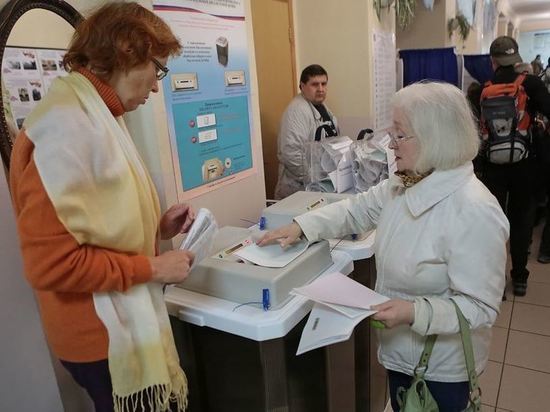 Общественная палата открыла горячую линию по нарушениям на выборах