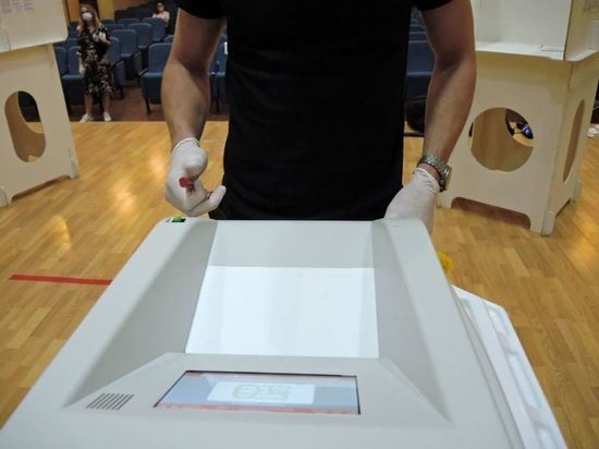 В Москве 2,3 миллиона человек подали заявки на голосование онлайн