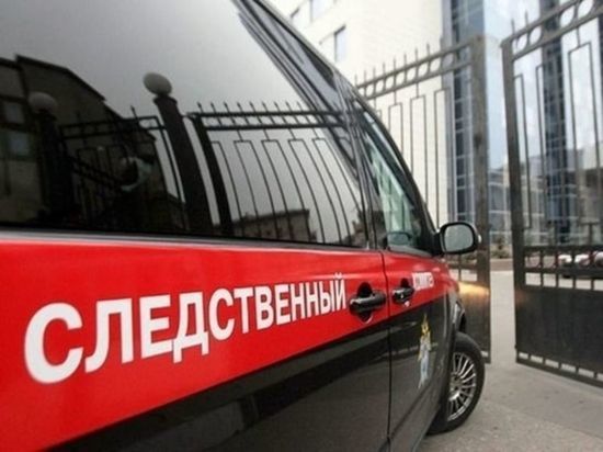 Двух иностранцев задержали в Подмосковье по делу об убийстве пенсионерки