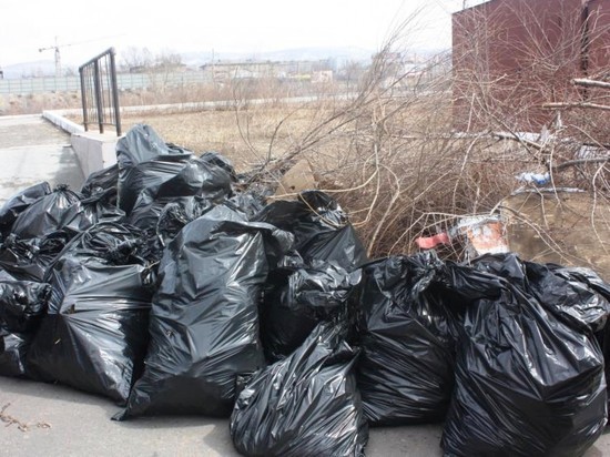 Власти Читы опубликовали список территорий для уборки в субботники