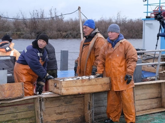 560 тонн рыбы выловили за лето рыбаки Тазовского района