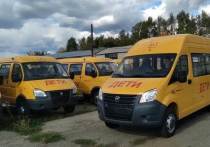 Сто новых автобусов для подвоза детей на занятия получат школы Алтайского края