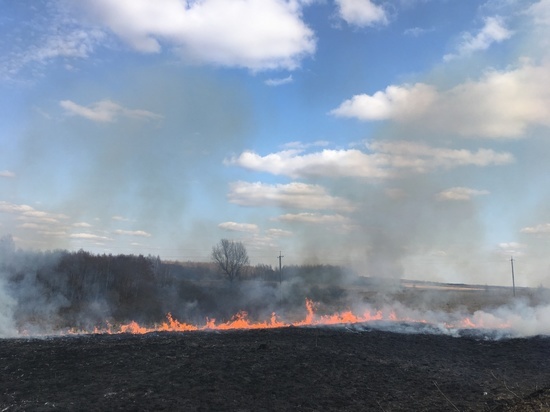 Итогом пожароопасного сезона на Смоленщине стали шесть возгораний в лесах